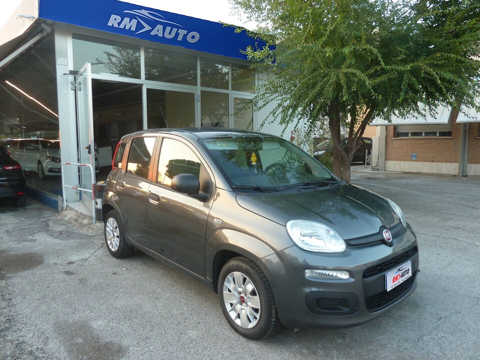 Fiat Panda 1.2 Lounge Ok Neopatentati
