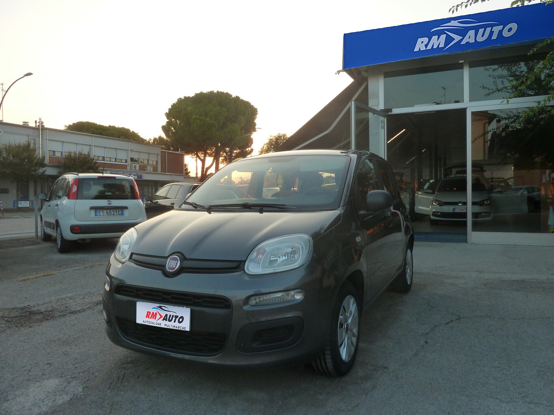 Fiat Panda 1.2 Lounge Ok Neopatentati
