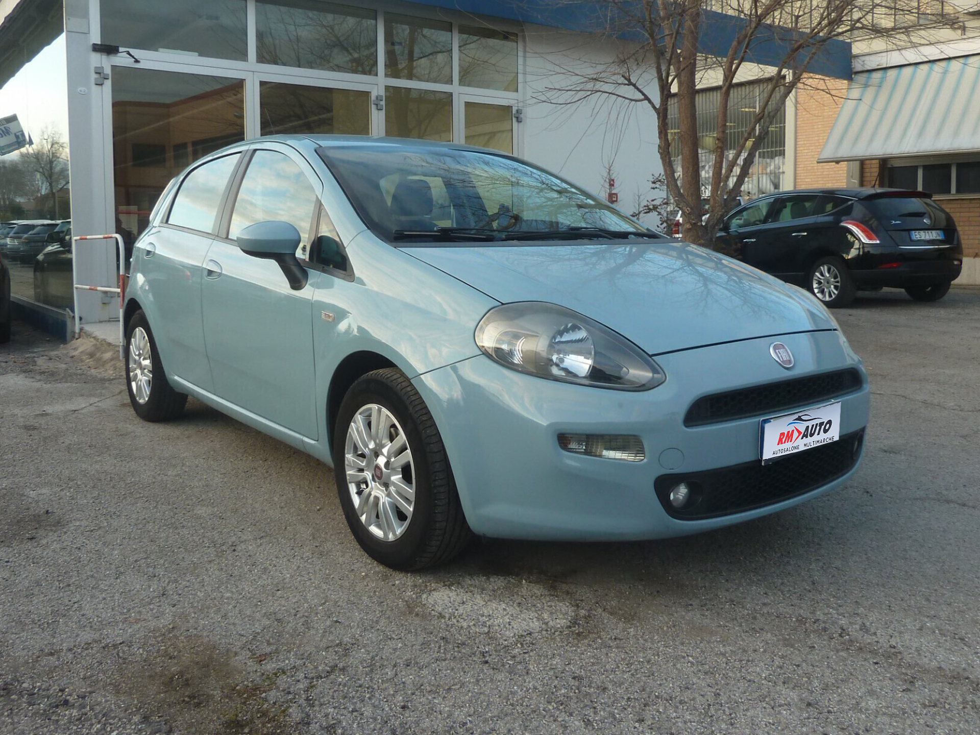 Fiat Punto 1.3 MJT 75 CV Lounge Ok Neopatentati