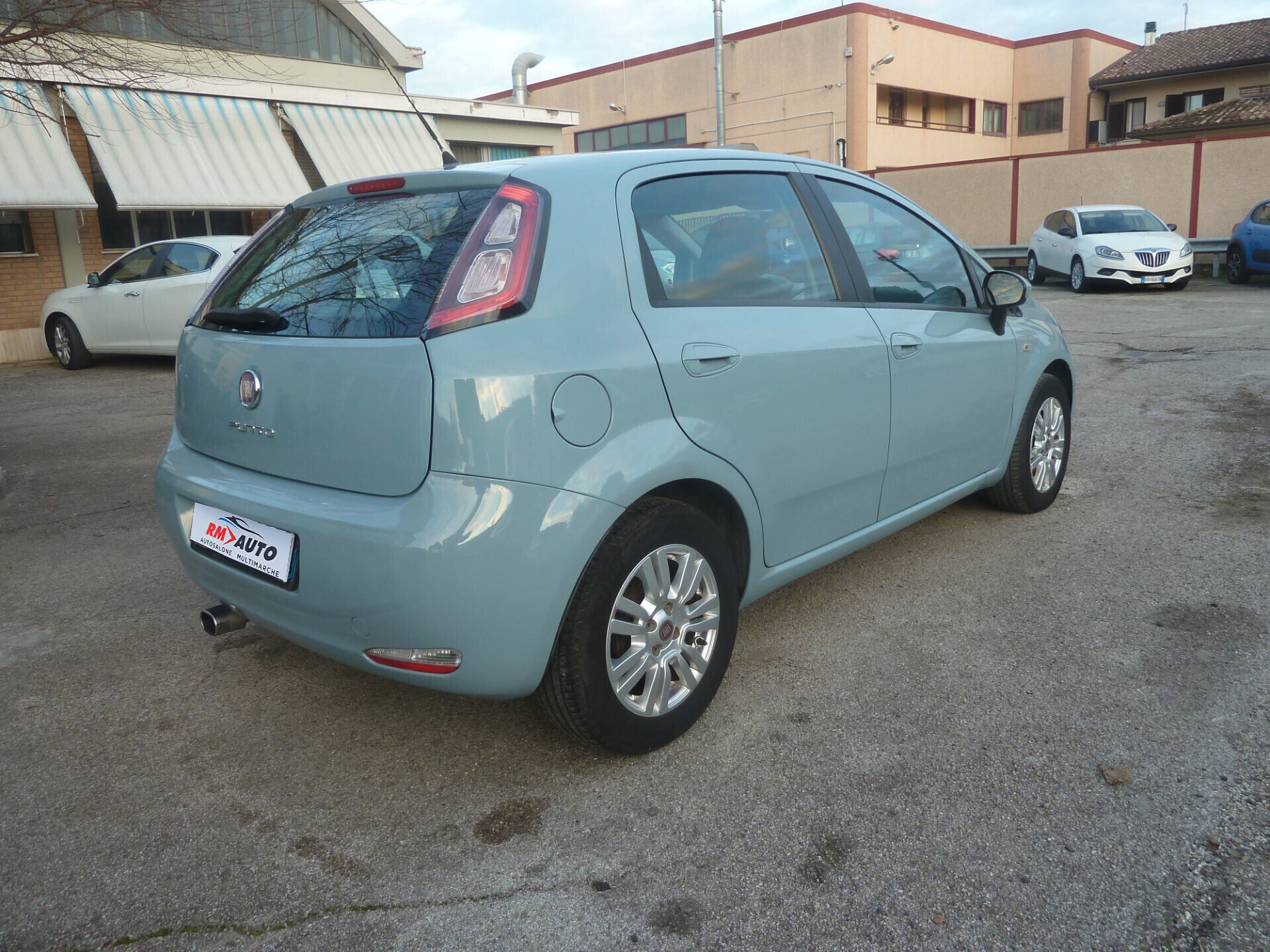 Fiat Punto 1.3 MJT 75 CV Lounge Ok Neopatentati
