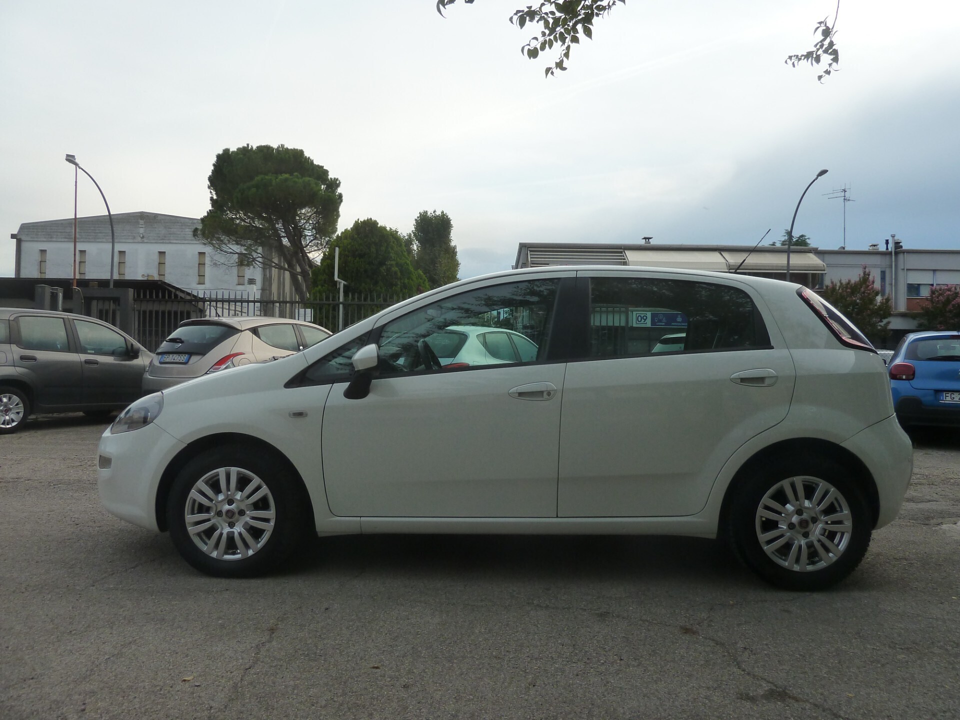 Fiat Punto 1.3 MJT II 75 CV 5 porte Lounge