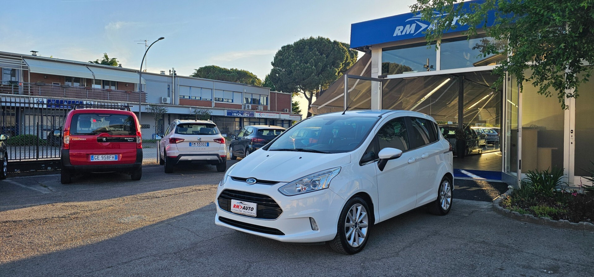 Ford B-Max 1.5 TDCi 75 CV Business Titanium