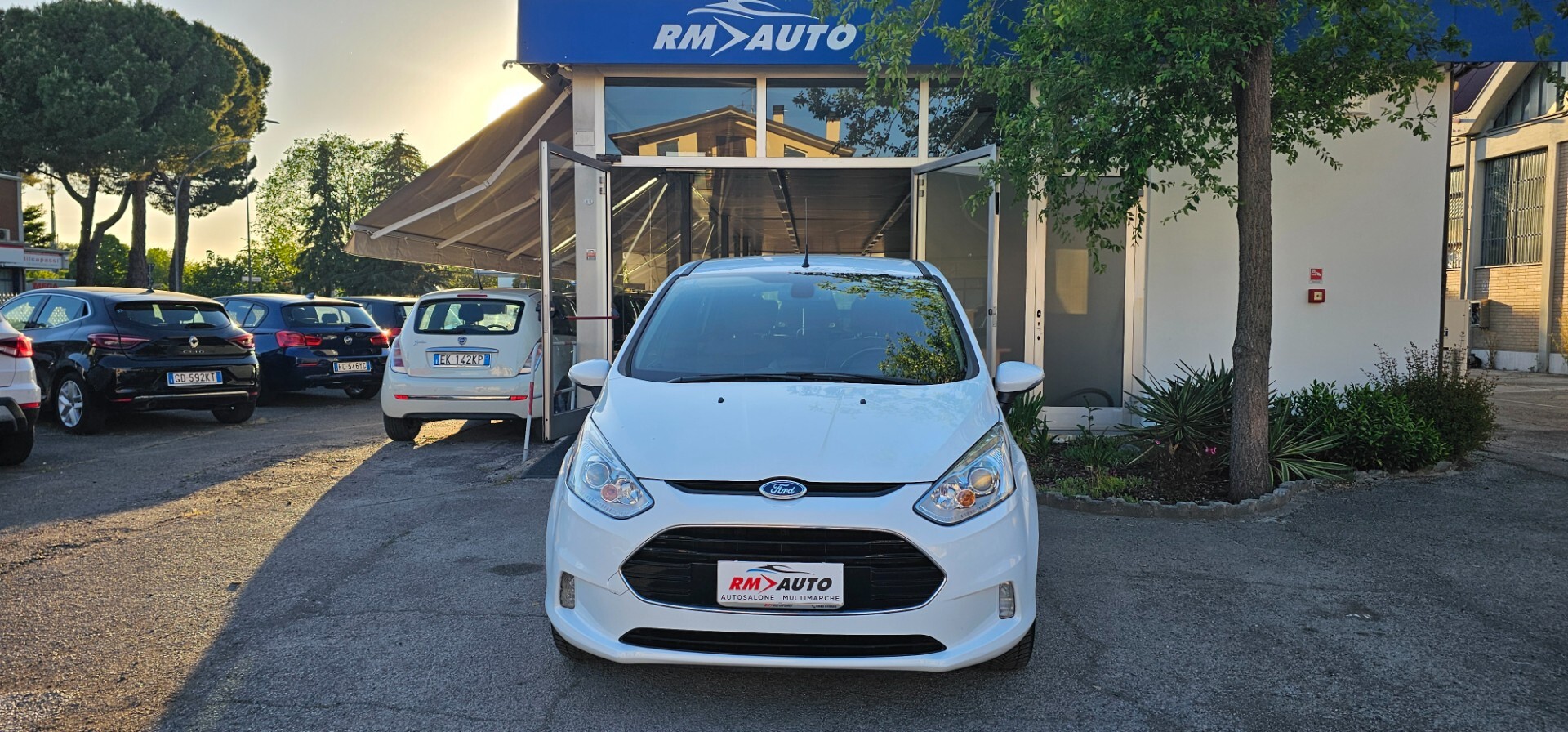 Ford B-Max 1.5 TDCi 75 CV Business Titanium