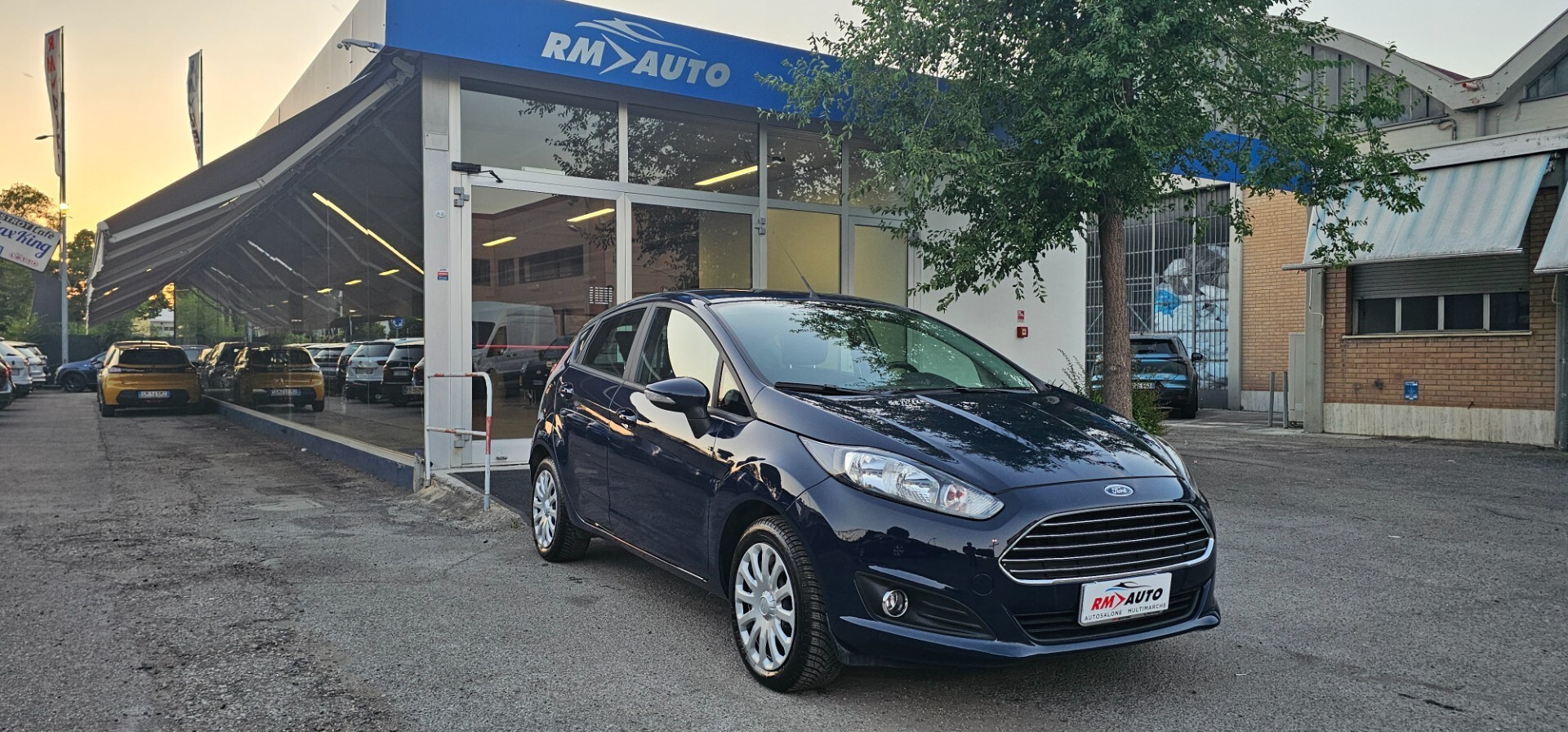 Ford Fiesta 1.2 60 CV 5 p. Business SOLO 26000 KM